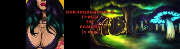 синтетический гашиш Алексин