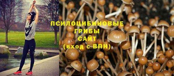 не бодяженный Алзамай