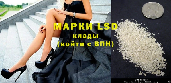 молекула духа Снежногорск