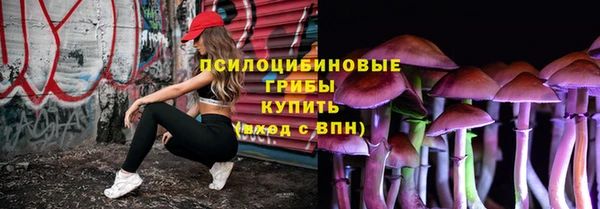 не бодяженный Алзамай